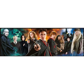 Harry Potter panorama puzzel 1000 stukjes - filmspullen.nl