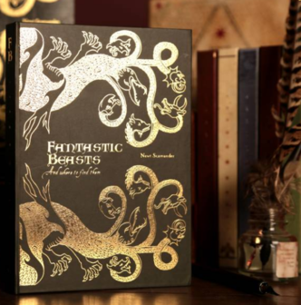 Fantastic Beasts replica notitieboek - filmspullen.nl