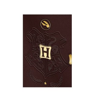 Harry Potter Premium notitieboek A5 Quidditch - filmspullen.nl