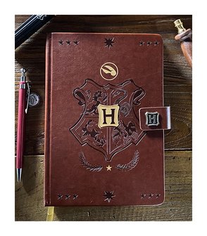 Harry Potter Premium notitieboek A5 Quidditch - filmspullen.nl