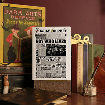 Wenskaart Harry Potter &#039;&#039;Boy Who Lived&#039;&#039; - Filmspullen.nl