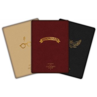 Harry Potter 3x notitieboekjes A6 - Filmspullen.nl
