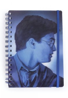 Harry Potter 3D notitieboek Magic Portrait - filmspullen.nl
