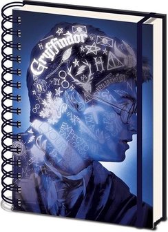 Harry Potter 3D notitieboek Magic Portrait - filmspullen.nl
