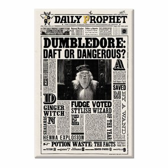 Harry Potter Daily Prophet magneten set [MinaLima] - filmspullen.nl