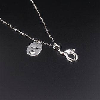 Harry Potter Always ketting Snape &amp; Lily - Filmspullen.nl