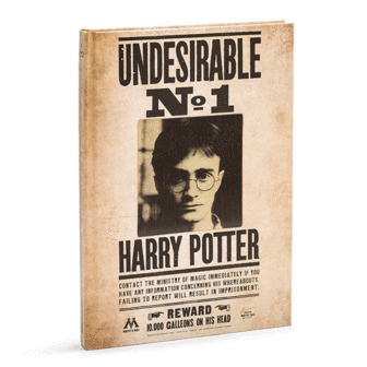 Harry Potter 3D notitieboek (Lenticular) - Undesirable No. 1 - Filmspullen.nl