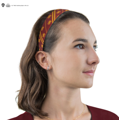 Harry Potter Gryffindor haar accessoires set - filmspullen.nl