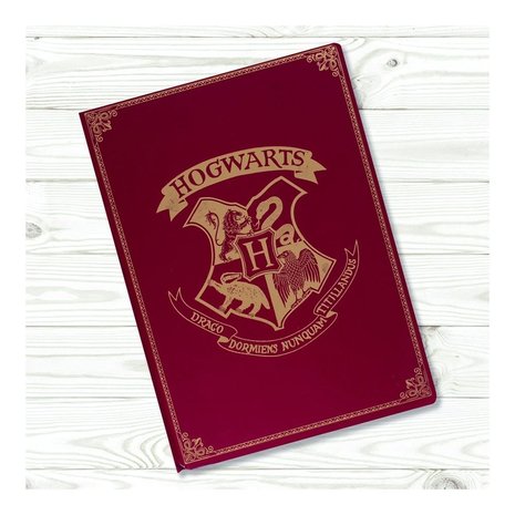 Harry Potter A5 notitieboek Hogwarts - Filmspullen.nl