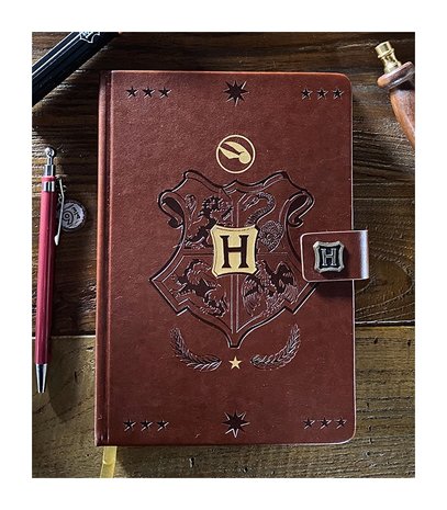 Harry Potter Premium notitieboek A5 Quidditch - filmspullen.nl