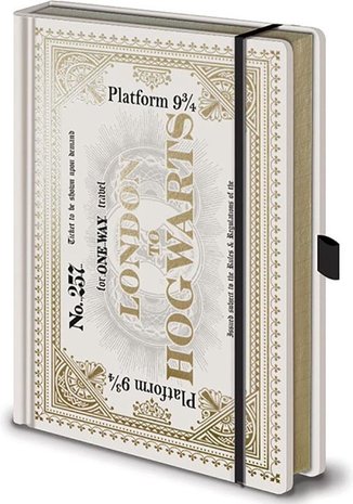 Harry Potter Premium notitieboek Hogwarts Express Ticket A5 - filmspullen.nl