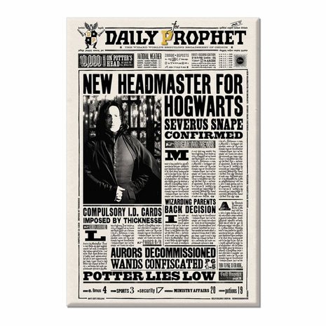 Harry Potter Daily Prophet magneten set [MinaLima] - filmspullen.nl