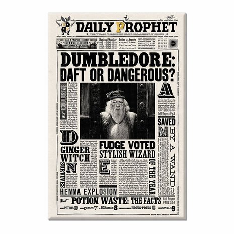 Harry Potter Daily Prophet magneten set [MinaLima] - filmspullen.nl