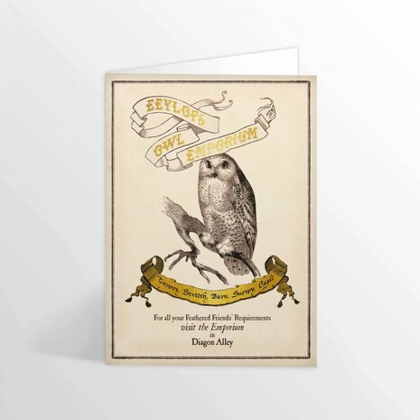 Harry Potter Eeylops Owl Emporium wenskaart [MinaLima] - filmspullen.nl