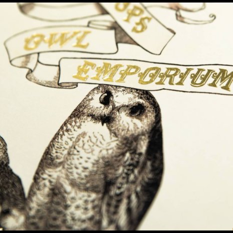 Harry Potter Eeylops Owl Emporium wenskaart [MinaLima] - filmspullen.nl
