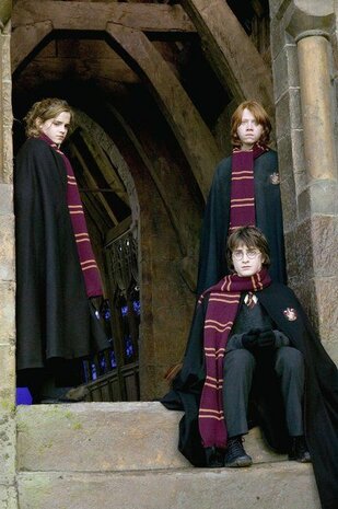 Harry Potter Gryffindor luxe sjaal - Filmspullen