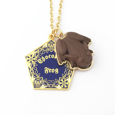 Harry Potter Chocolate Frog ketting - Filmspullen.nl