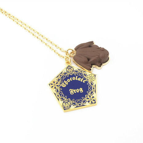 Harry Potter Chocolate Frog ketting - Filmspullen.nl