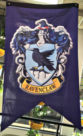 Harry Potter vlag Ravenclaw - Filmspullen