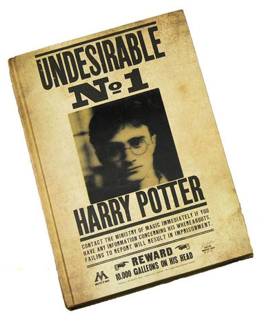 Harry Potter 3D notitieboek (Lenticular) - Undesirable No. 1 - Filmspullen.nl
