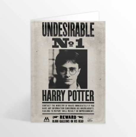 Harry Potter 3D wenskaart Undesirable No. 1 - filmspullen.nl