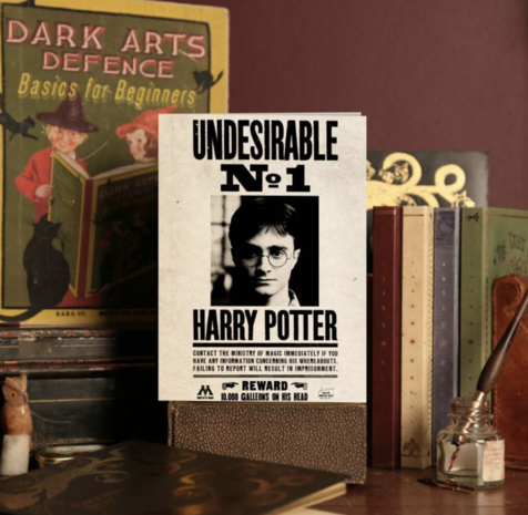 Harry Potter 3D wenskaart Undesirable No. 1 - filmspullen.nl