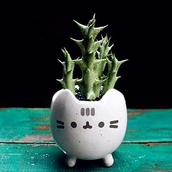 Pusheen plant pot - Filmspullen.nl